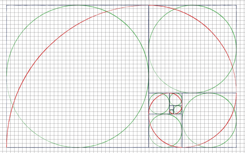 The growth of a nautilus diagramed, similar to a keyword theme