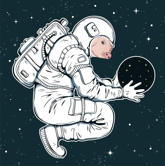 Pipeline Truffle Pig in Space